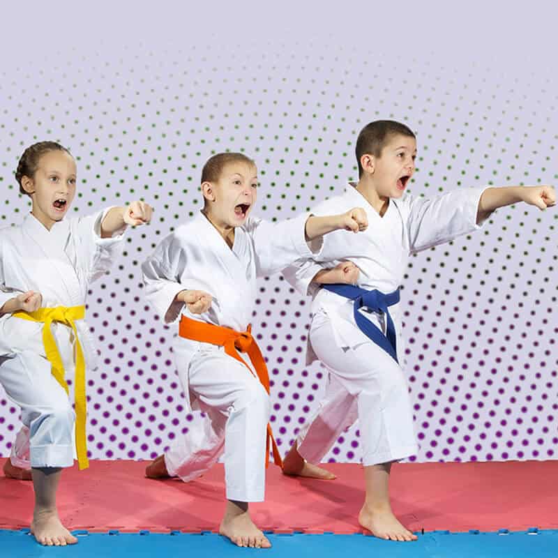 Martial Arts Lessons for Kids in Butte MT - Punching Focus Kids Sync